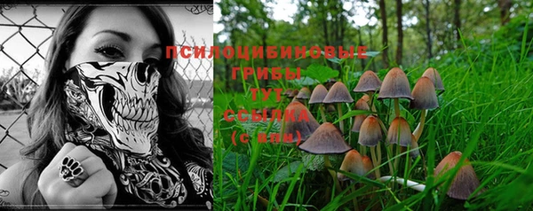 дурь Ростов