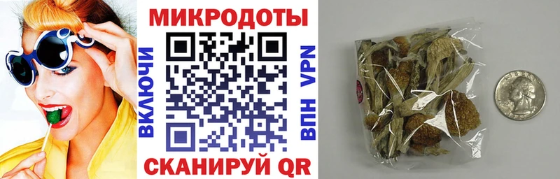 Галлюциногенные грибы GOLDEN TEACHER  где купить   Кушва 